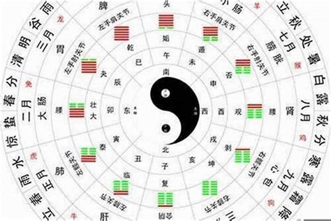 金木水火土五行|阴阳五行（中国古代朴素的唯物哲学）